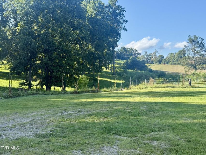 Photo #19: 2069 Hwy 11W 