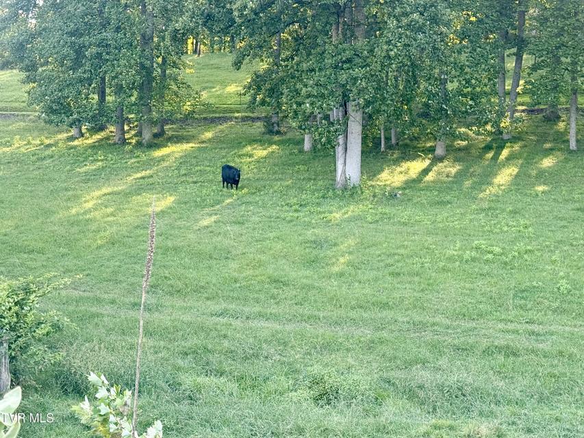 Photo #24: 2069 Hwy 11W 