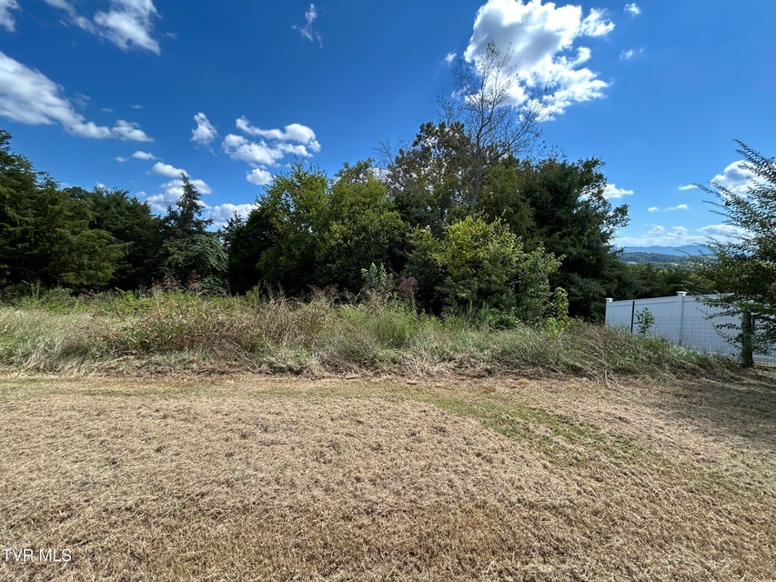 Photo #23: 479 Pigeon Creek Road