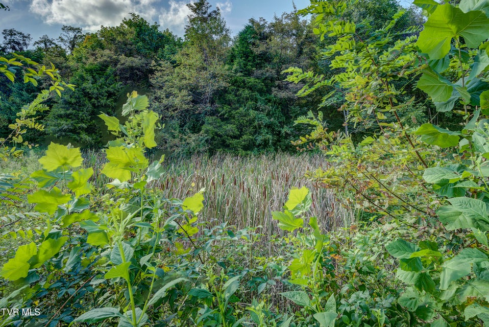 Photo #42: 112 Hidden Pines Drive