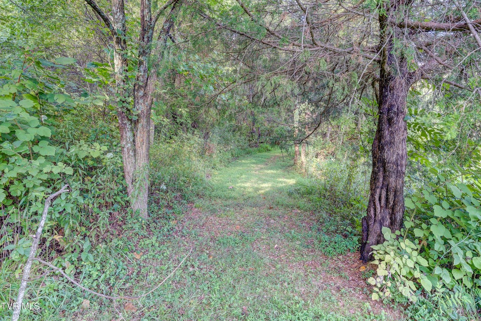 Photo #44: 112 Hidden Pines Drive