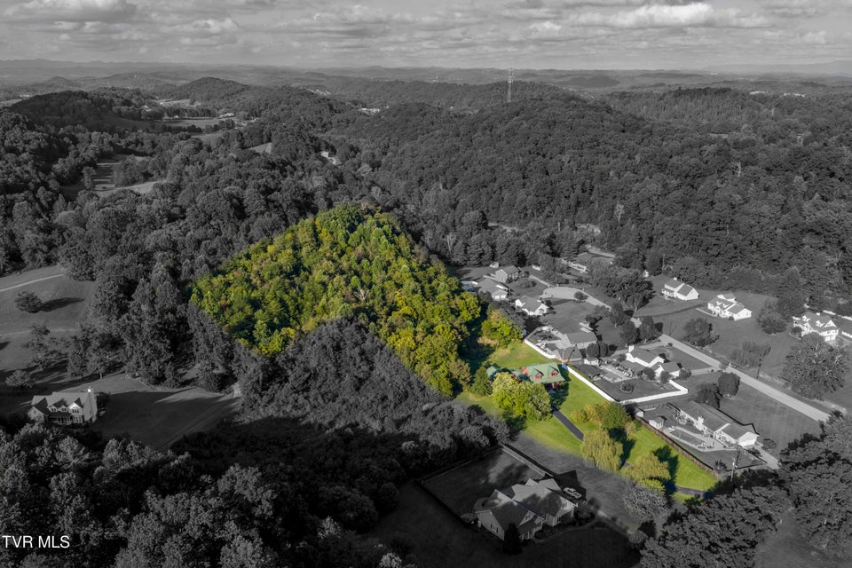 Photo #8: 112 Hidden Pines Drive