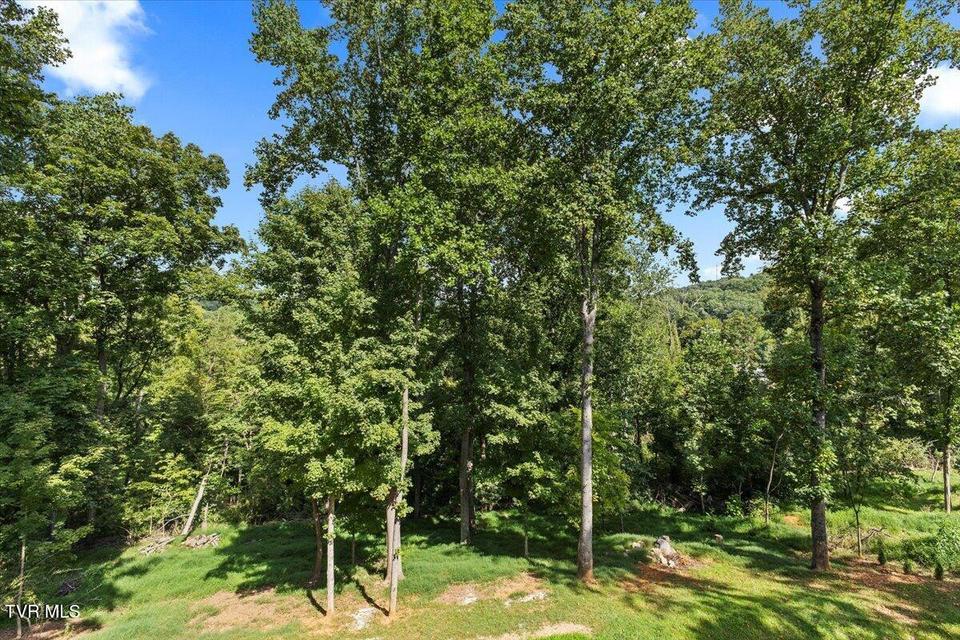 Photo #30: 720 Dugger Road