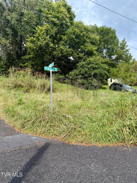 Photo #3: 000 Hemlock Drive