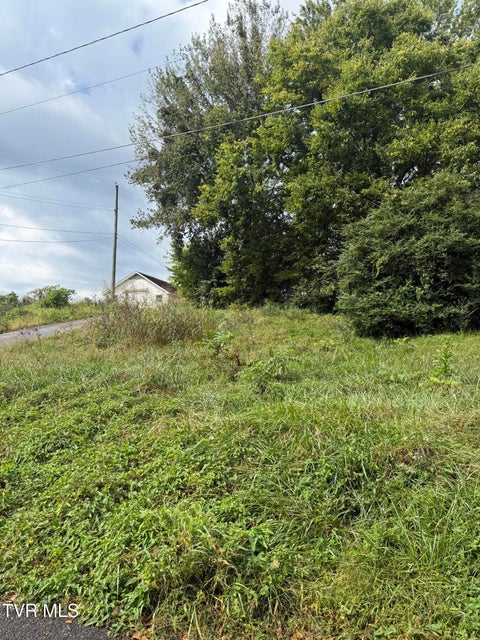 Photo #4: 000 Hemlock Drive