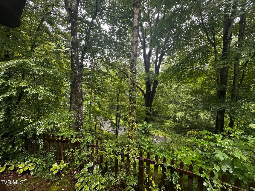 Photo #34: 1423 Poga Road