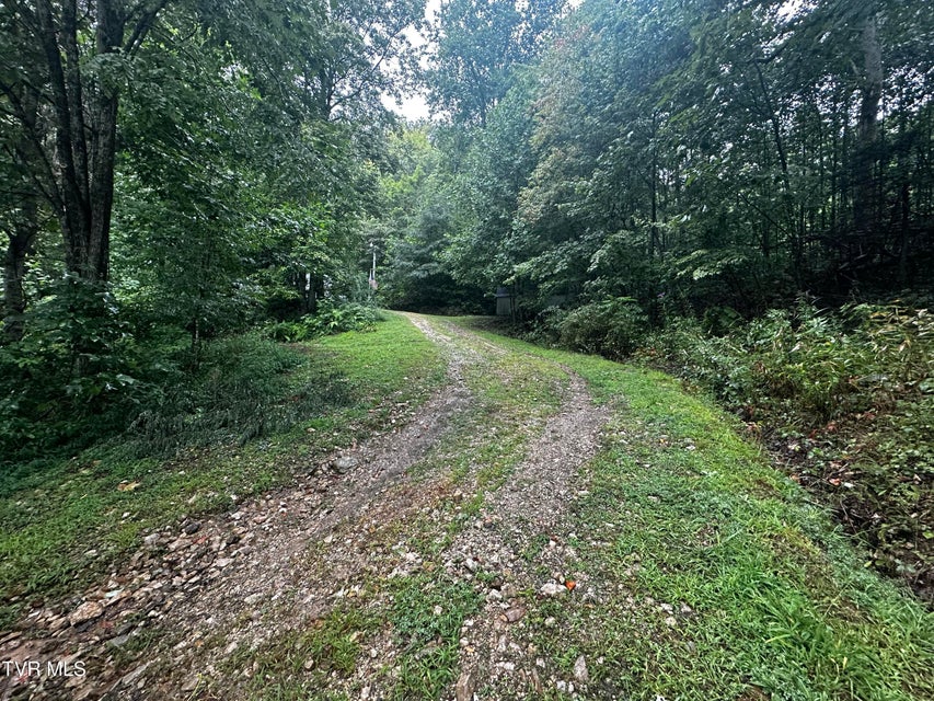 Photo #37: 1423 Poga Road