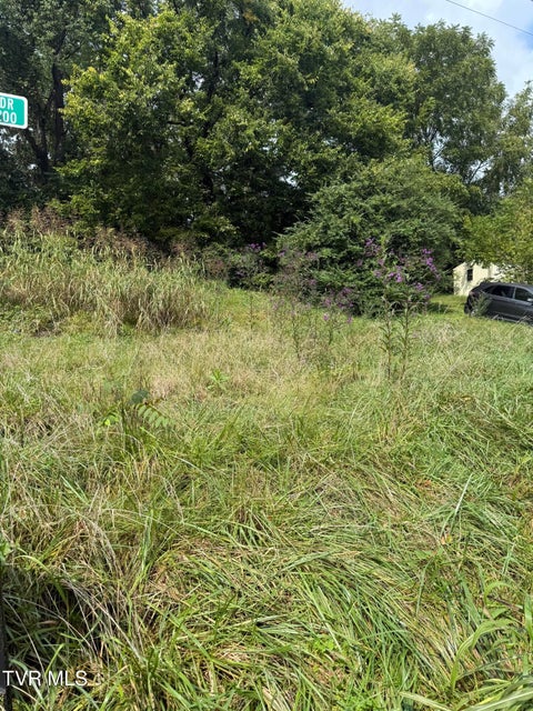 Photo #6: 000 Hemlock Drive