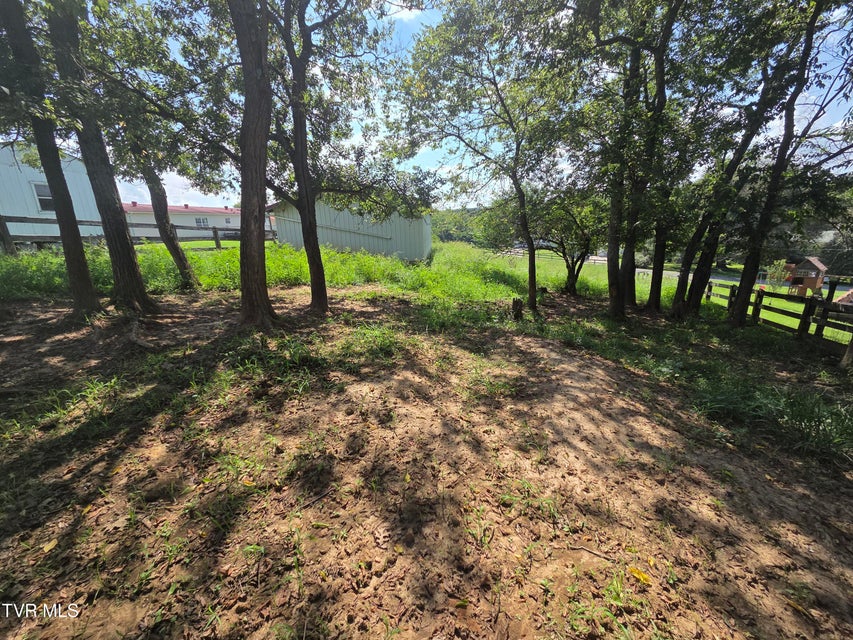 Photo #7: 114 Miller Street