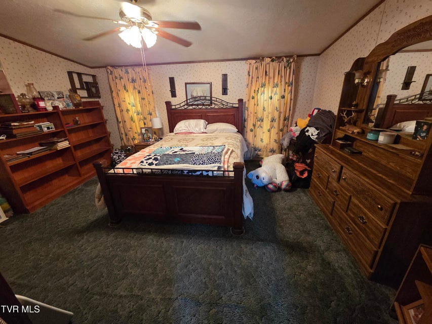 Photo #38: 114 Miller Street