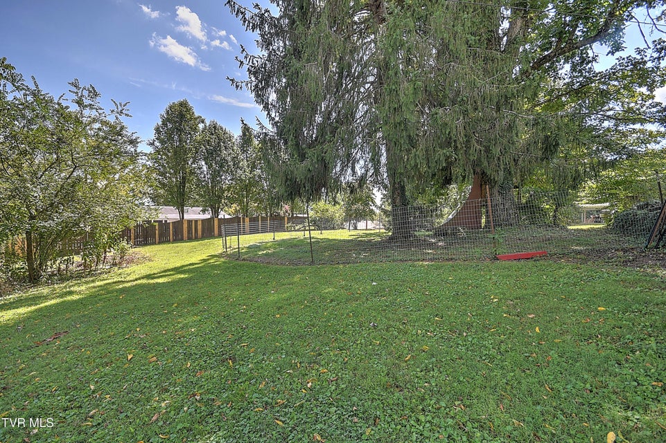 Photo #55: 1719 Holston Drive