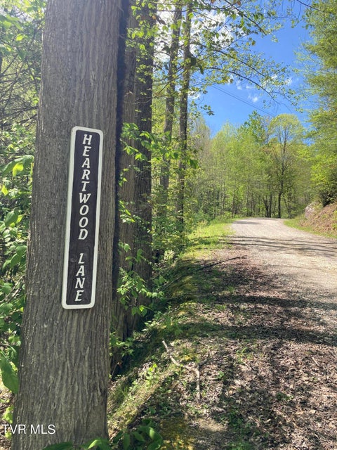 Photo #3: Tbd Tulip Poplar Trail Extension