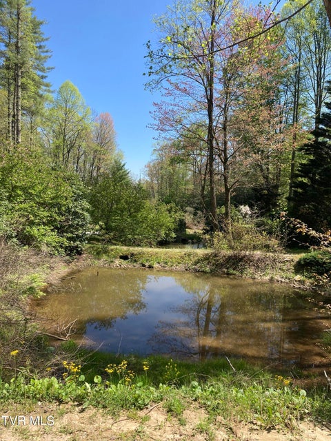 Photo #5: Tbd Tulip Poplar Trail Extension