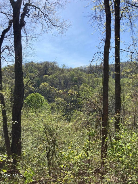 Photo #7: Tbd Tulip Poplar Trail Extension