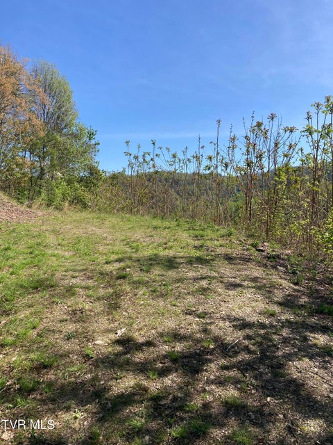 Photo #9: Tbd Tulip Poplar Trail Extension