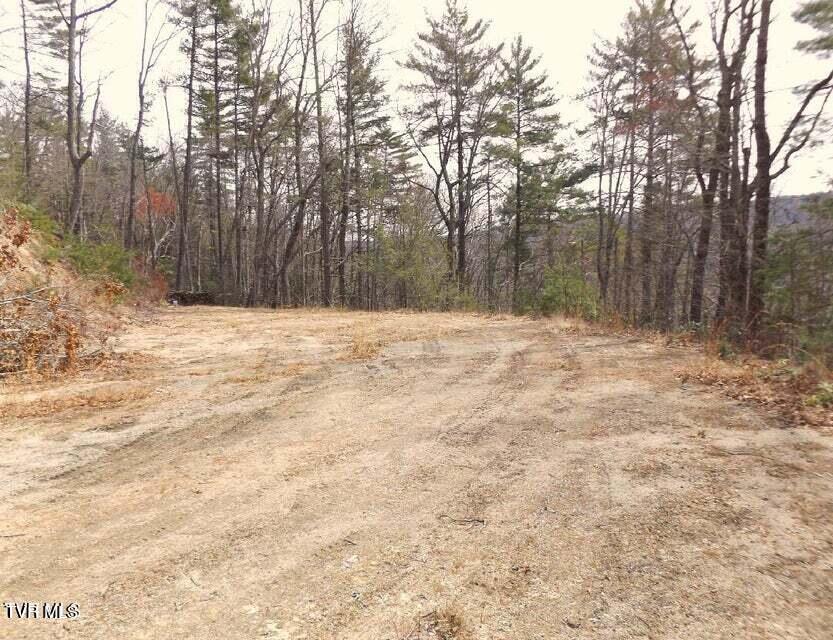 Photo #10: Tbd Tulip Poplar Trail Extension
