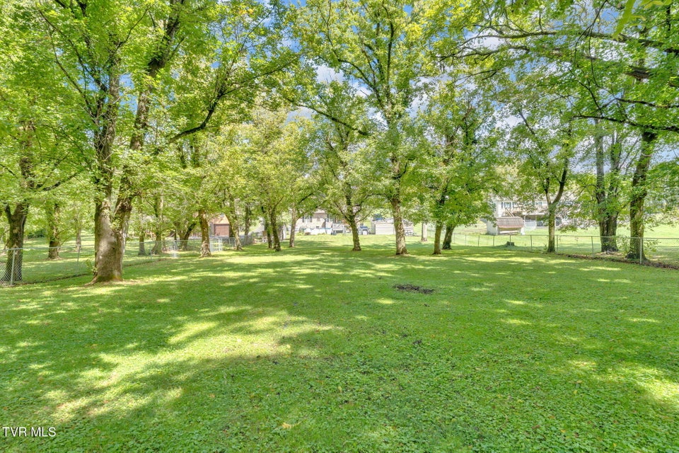 Photo #4: 3218 Avoca Road