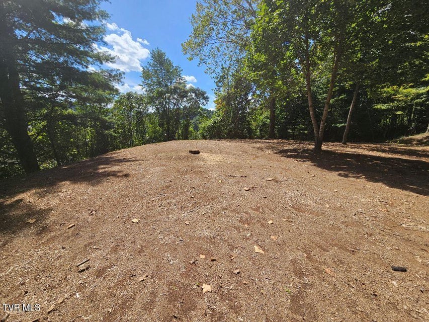 Photo #3: 110-114 Lawson Street