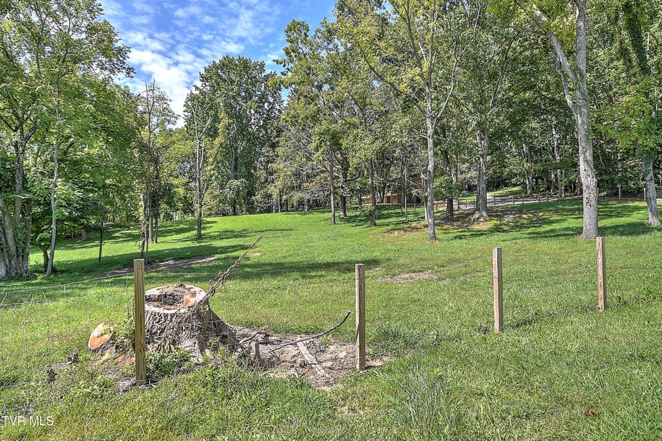 Photo #65: 14127 King Mill Pike