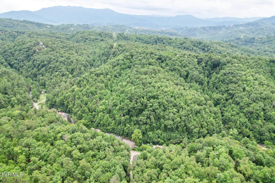 Photo #43: 540 King Branch Road