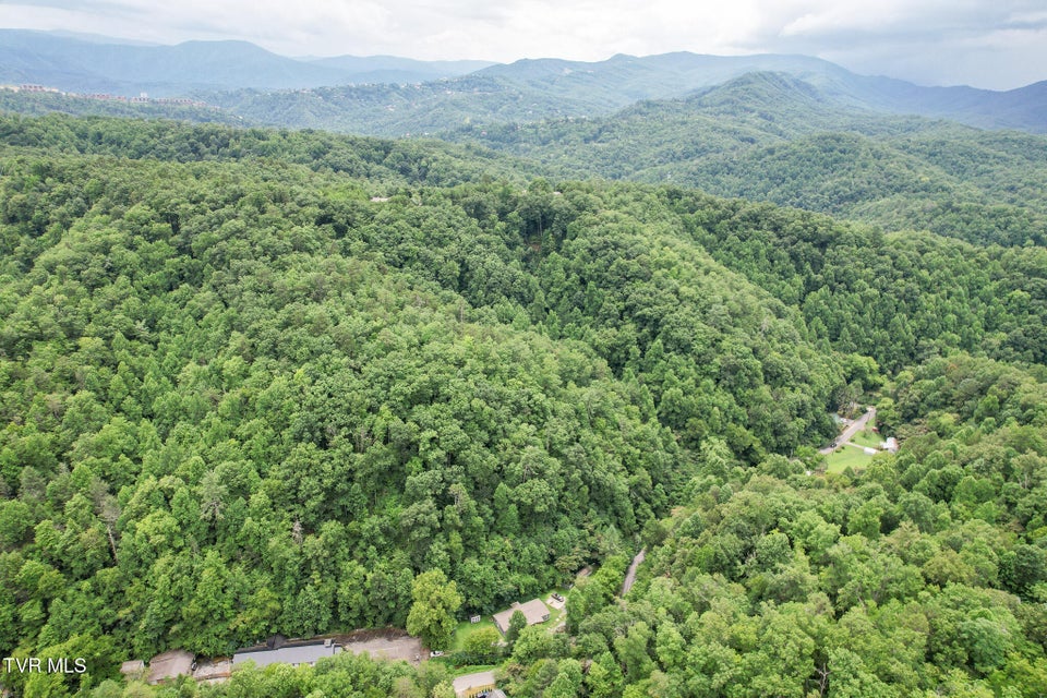 Photo #44: 540 King Branch Road