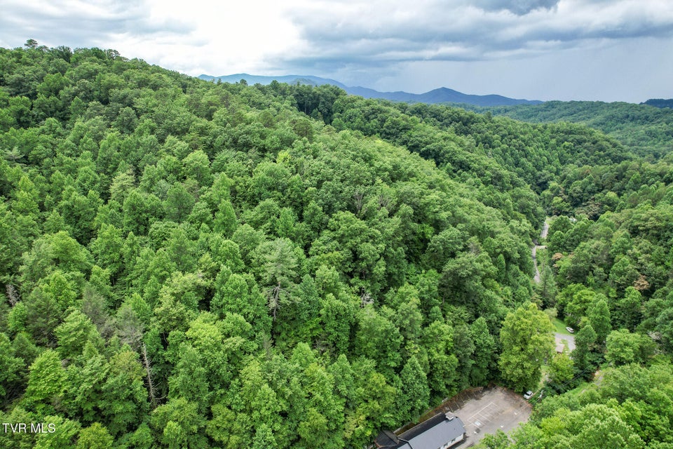 Photo #46: 540 King Branch Road