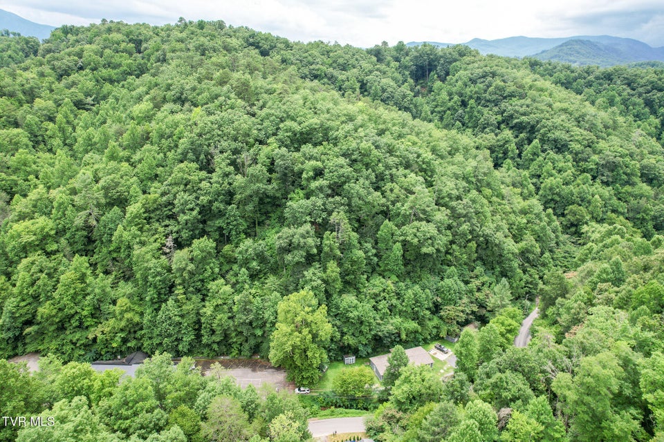 Photo #42: 540 King Branch Road