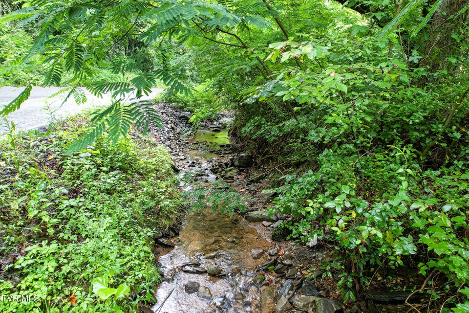 Photo #7: 540 King Branch Road