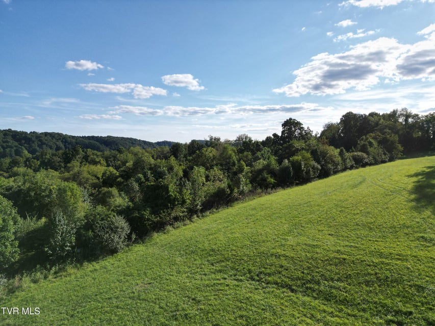 Photo #8: Tbd Reedy Creek Road