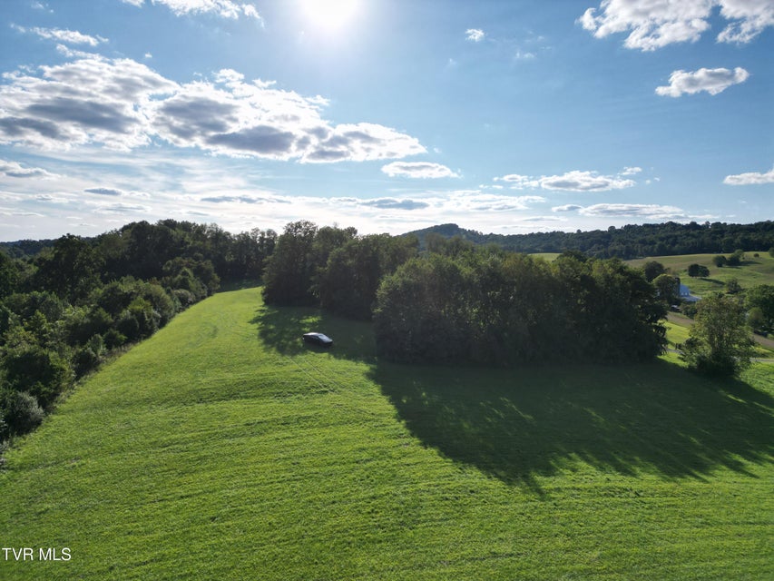 Photo #10: Tbd Reedy Creek Road