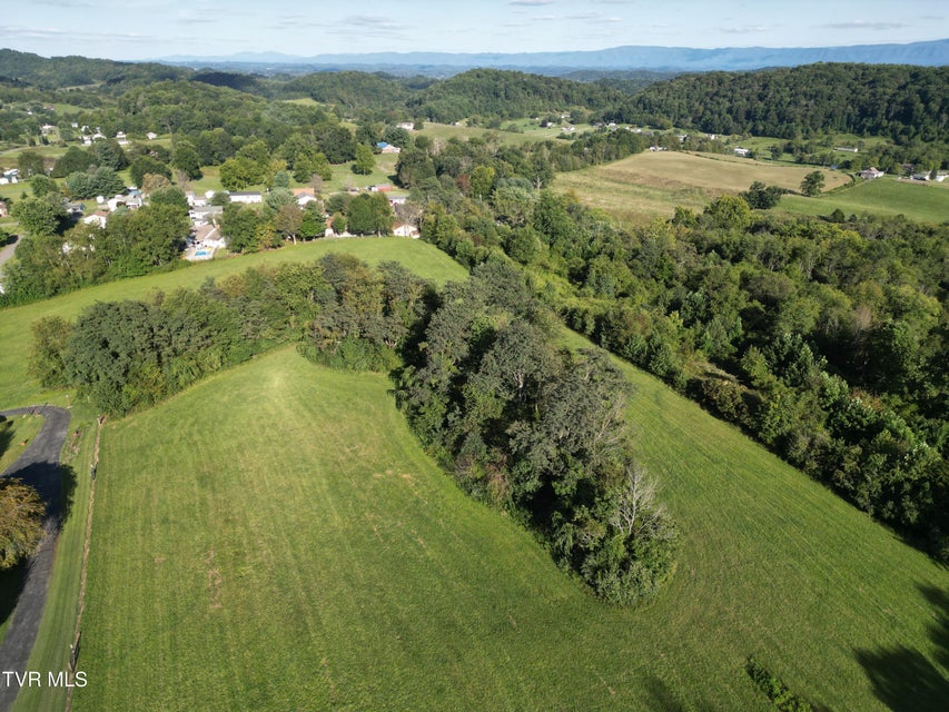 Photo #13: Tbd Reedy Creek Road