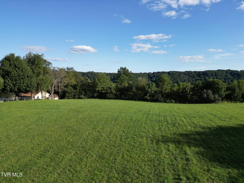 Photo #16: Tbd Reedy Creek Road