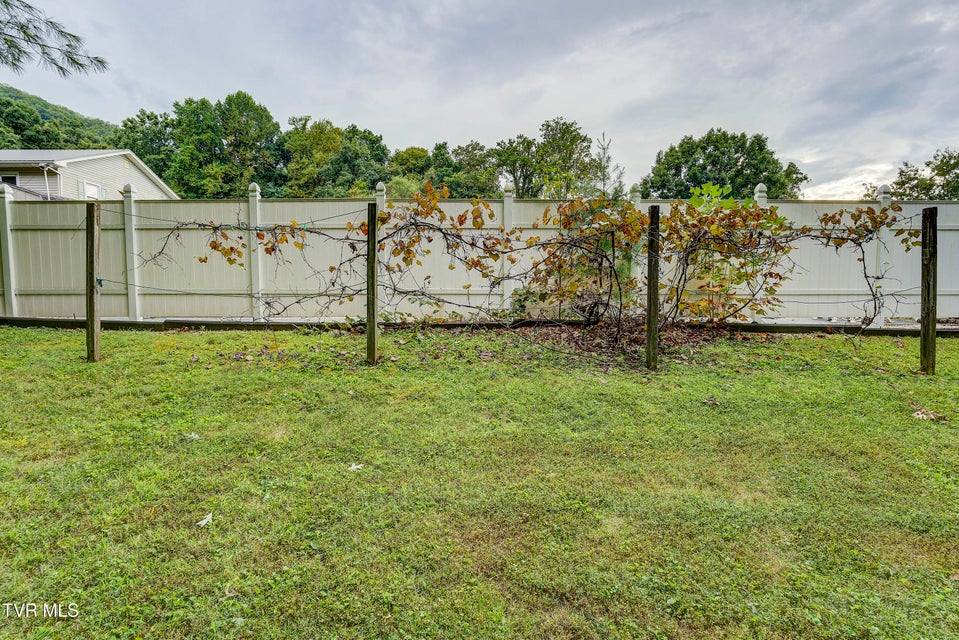Photo #50: 206 Sycamore Street