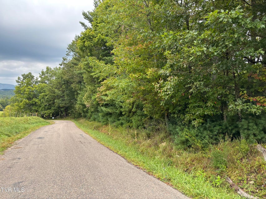 Photo #2: Lot 2 Locust Gap Road