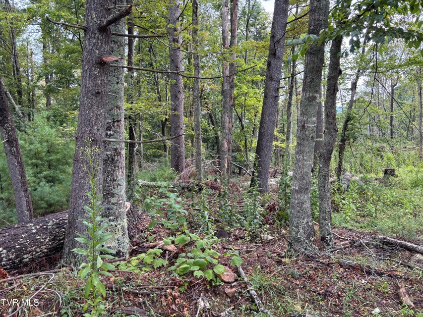 Photo #4: Lot 2 Locust Gap Road