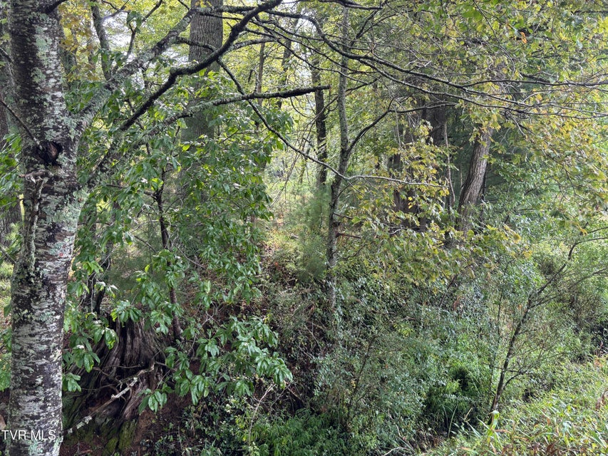 Photo #2: Lot 3 Locust Gap Road