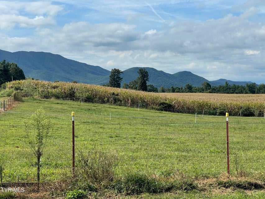 Photo #17: 410 Ricker Road