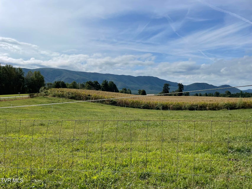 Photo #19: 410 Ricker Road