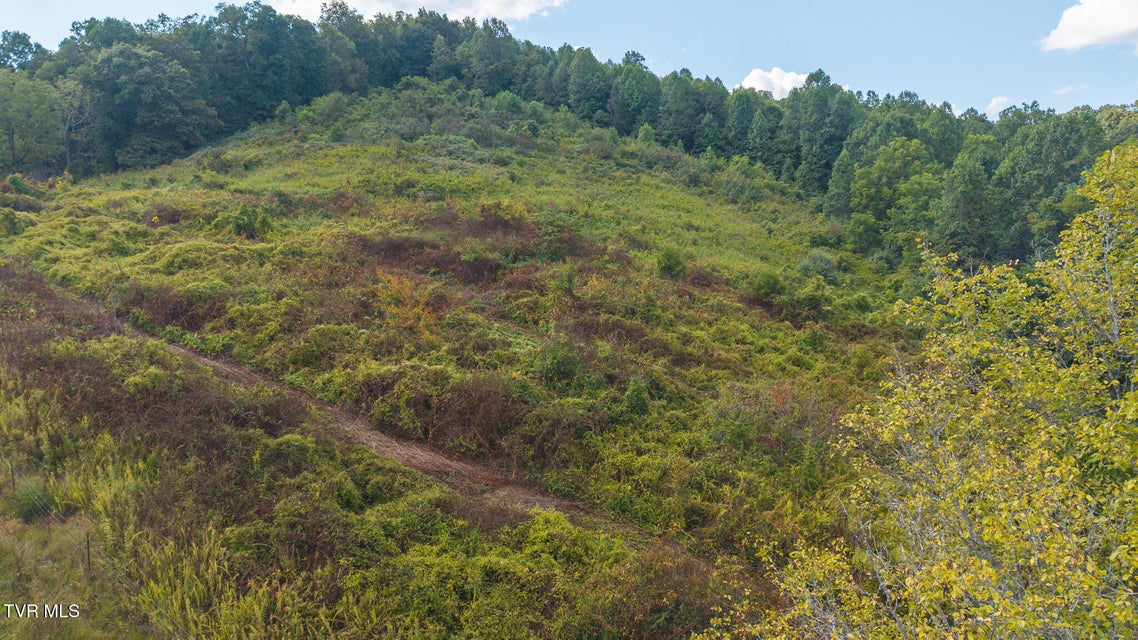 Photo #4: 3341 Stoney Fork Road