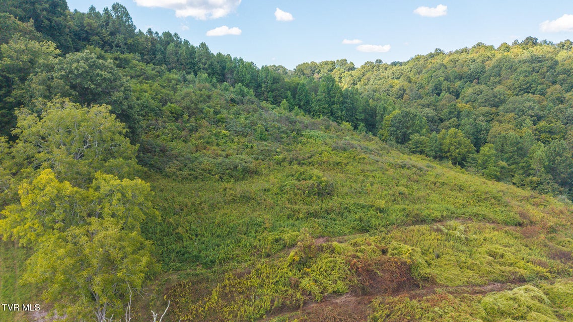 Photo #5: 3341 Stoney Fork Road