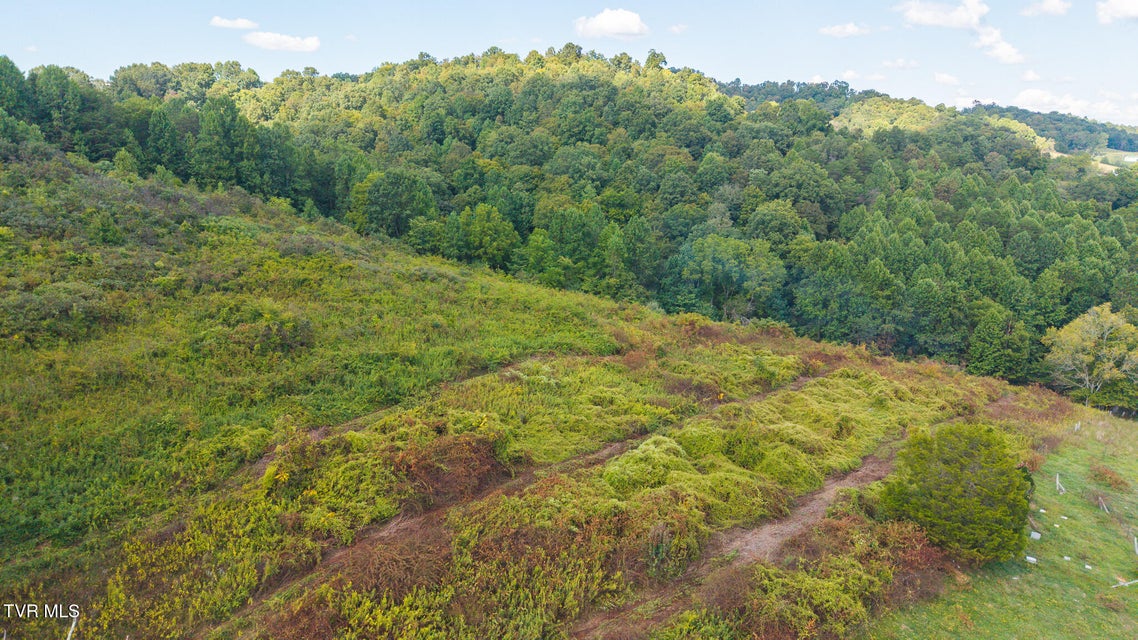 Photo #6: 3341 Stoney Fork Road