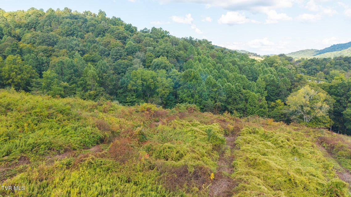 Photo #7: 3341 Stoney Fork Road