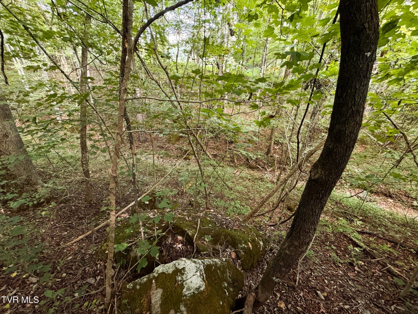 Photo #17: 3341 Stoney Fork Road