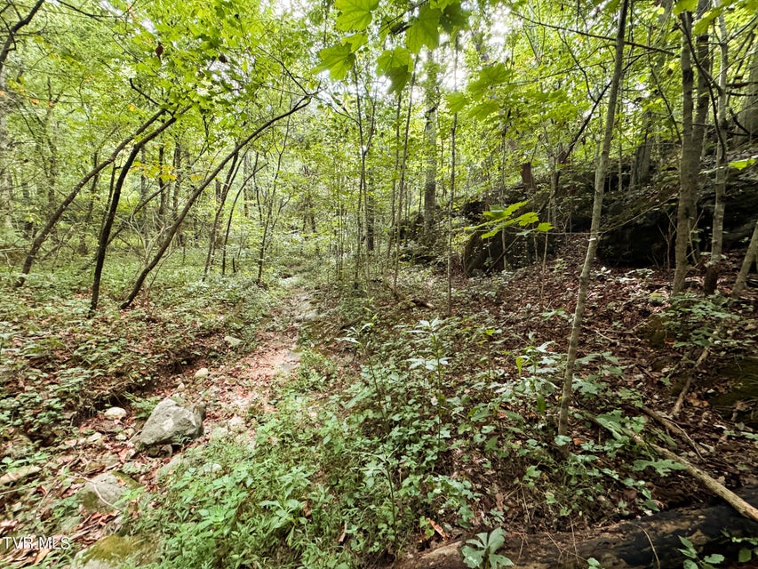Photo #18: 3341 Stoney Fork Road