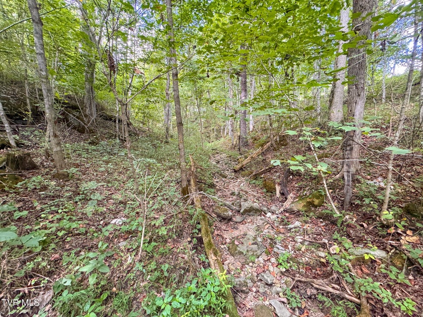 Photo #19: 3341 Stoney Fork Road