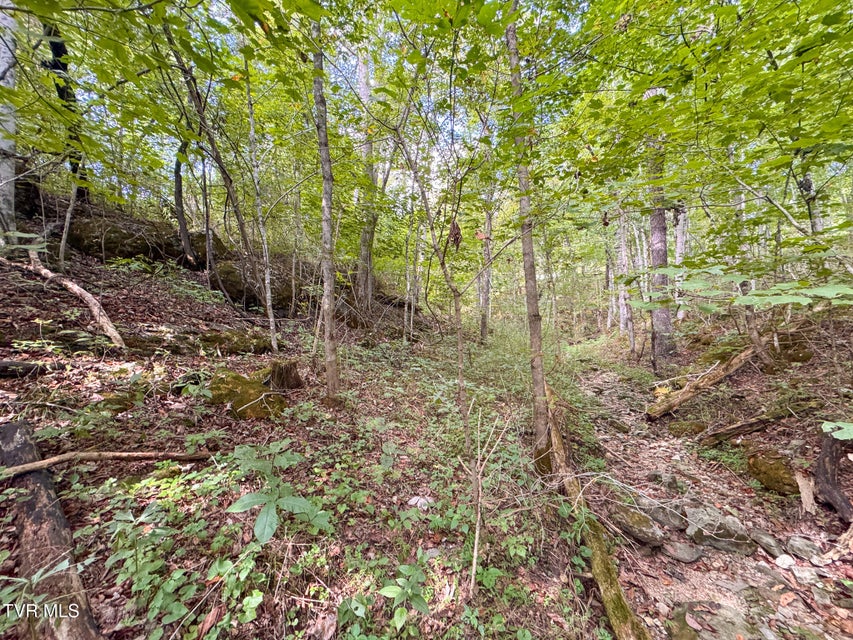 Photo #20: 3341 Stoney Fork Road