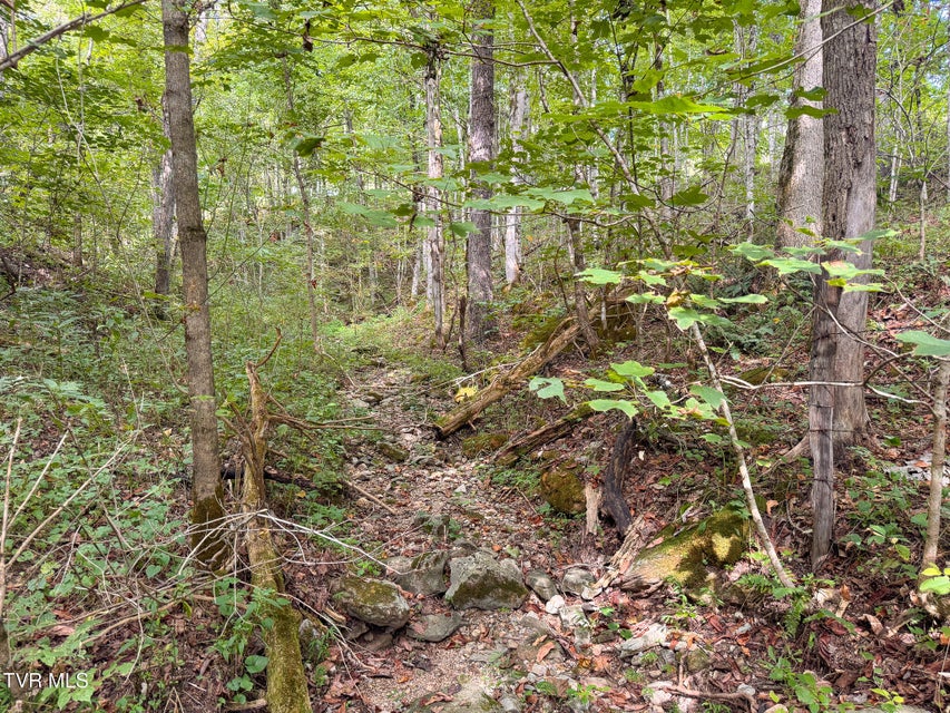 Photo #21: 3341 Stoney Fork Road