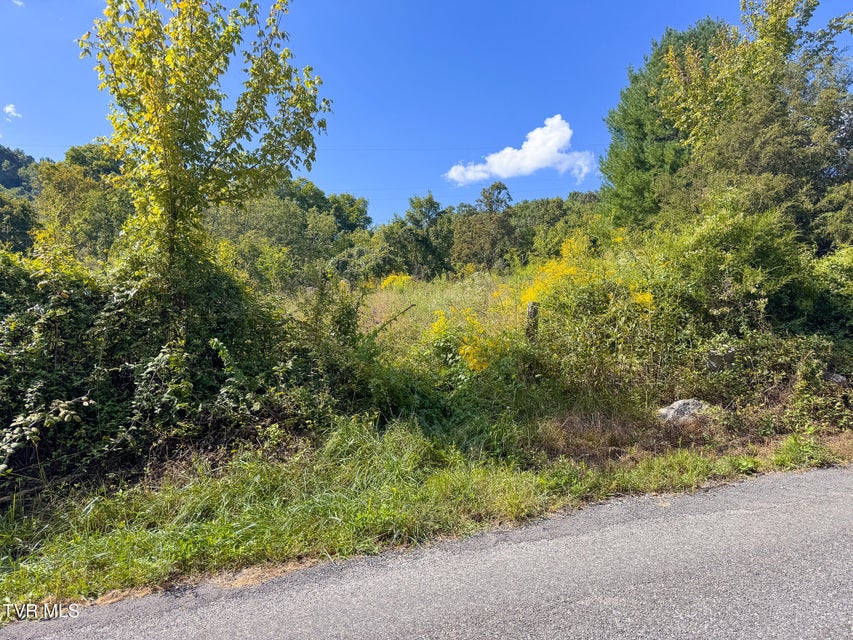 Photo #24: 3341 Stoney Fork Road
