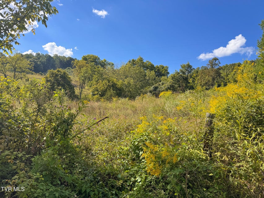 Photo #25: 3341 Stoney Fork Road