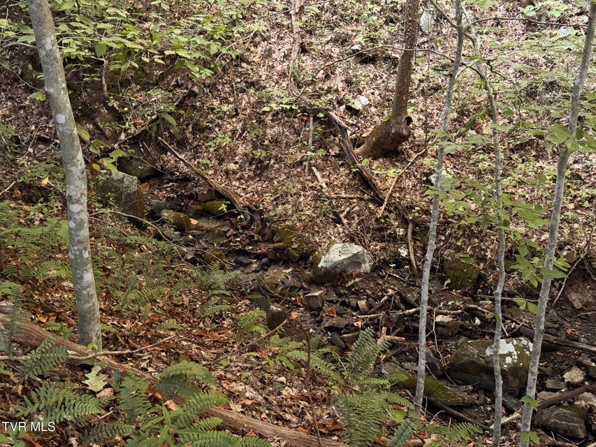 Photo #28: 3341 Stoney Fork Road